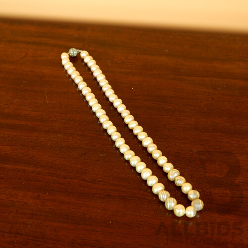 Strand of Large Coloured Freshwater Pearls, 10-11mm