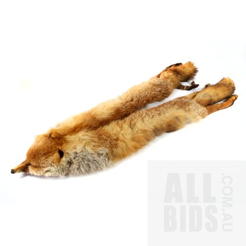 Vintage Fox Fur Stole, Complete with Head, Paws and Tails