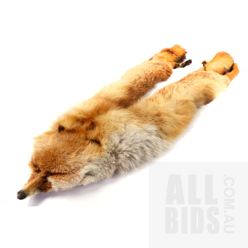 Vintage Fox Fur Stole, Complete with Head, Paws and Tails