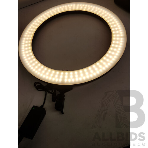 Kogan 19" LED Ring Light Creators Kit with Tripod - ORP $79.99 
