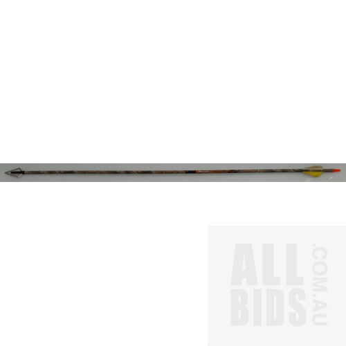 Ross Archery Compound Bow and Arrows