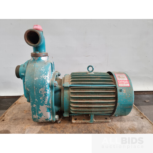 Vintage Onga 5hp Pump