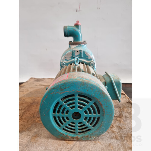 Vintage Onga 5hp Pump