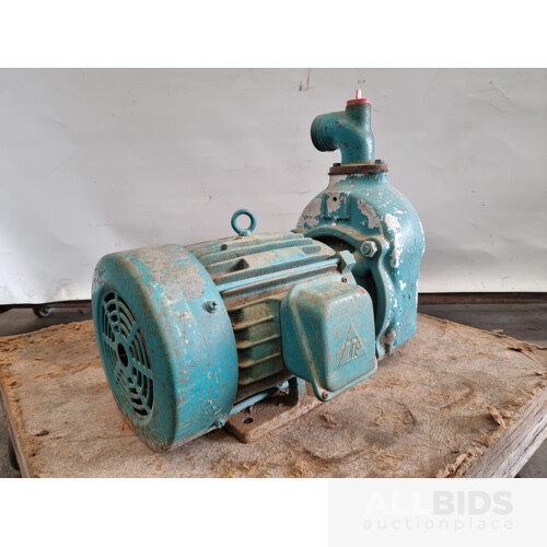 Vintage Onga 5hp Pump