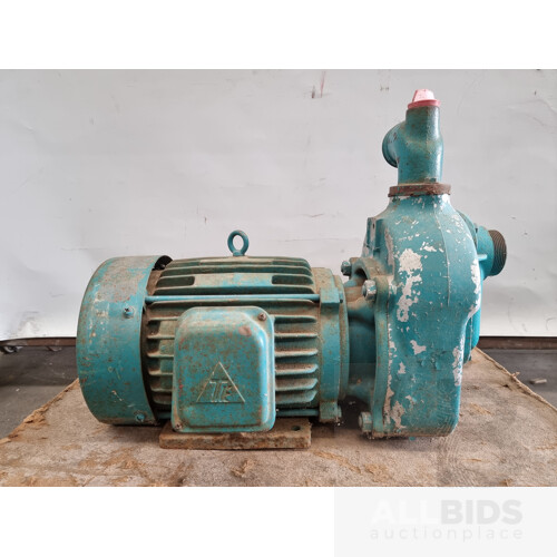 Vintage Onga 5hp Pump