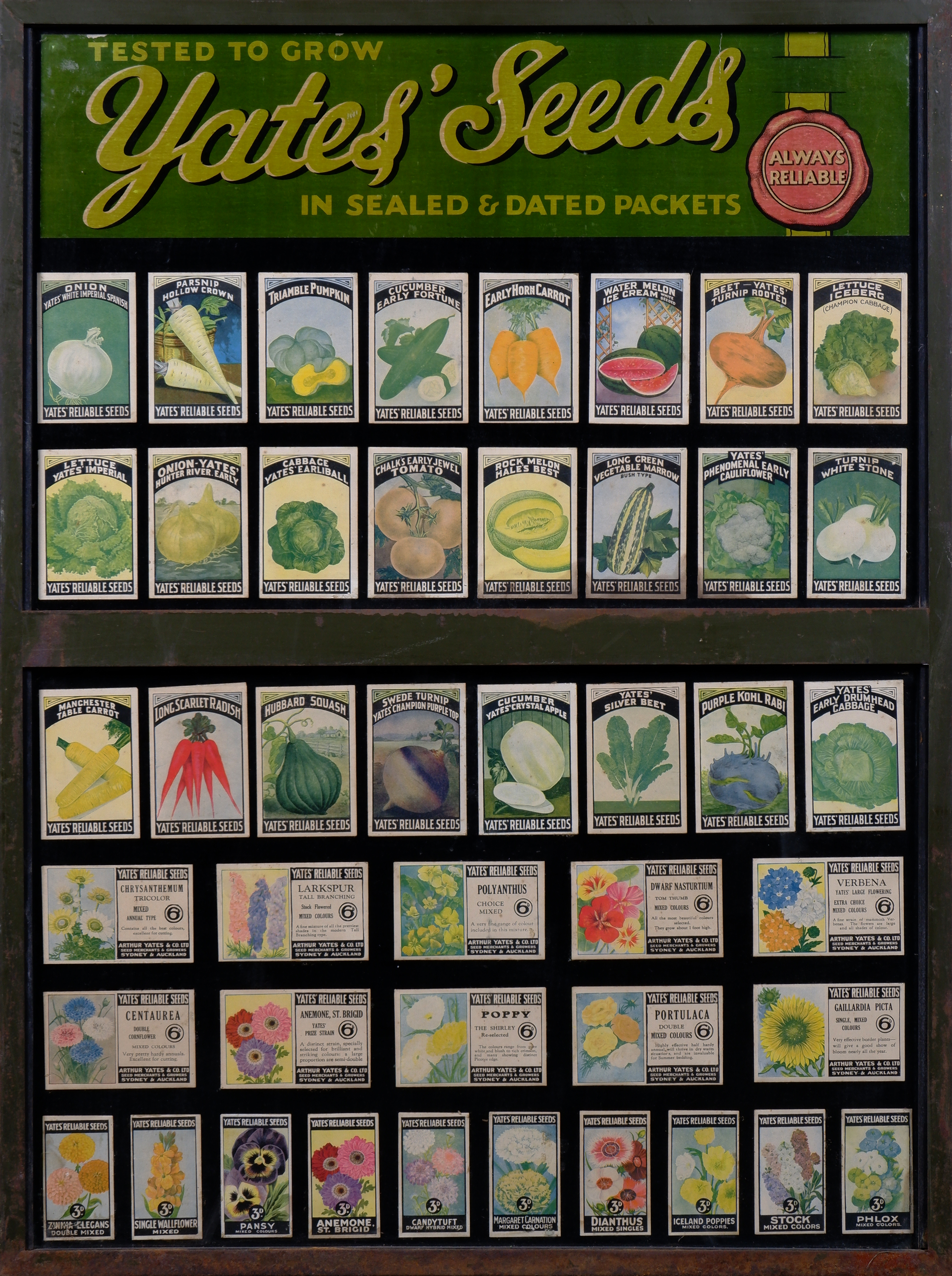 Vintage 1950s Yates' Seeds Display, - Lot 1409490