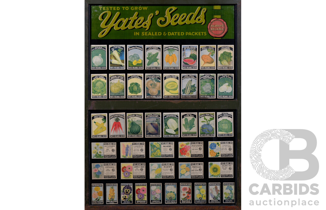 Arctotis Vintage Huth Seed Co. Seed Packet – thelabelman