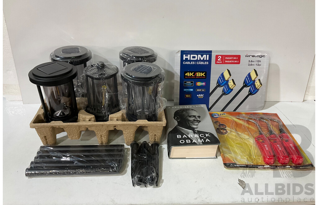 NATURALLY SOLAR 5 SOLAR Led Pathway Lights (Vintage Style) - BARAK OBAMA a Promised Land & Assorted Household Items - Lot of 4 - Estimated Total ORP $160.00