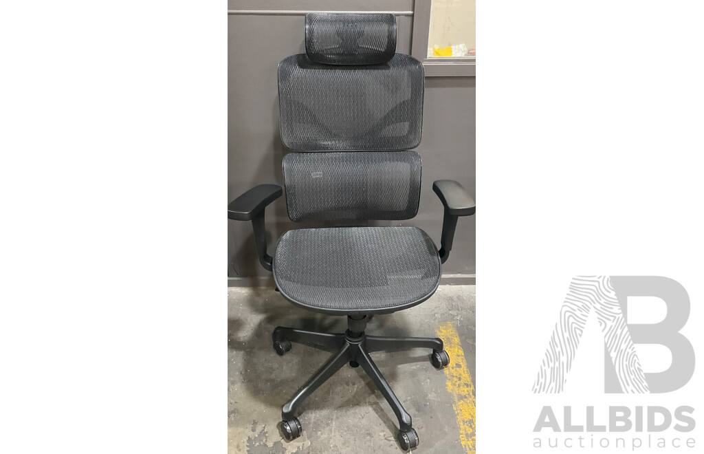 Ergoking Martin Mesh Ergonomic Chair - ORP $319.99