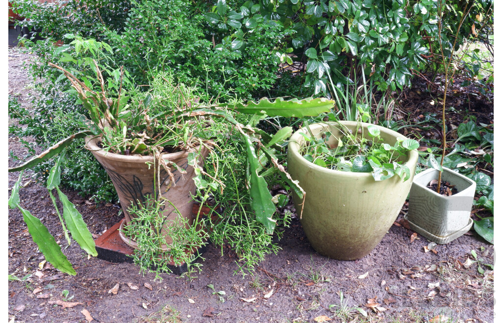 Two Green Glazed Ceramic Planters and Incised Ceramic Planter