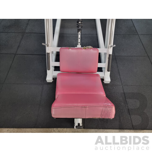 Calgym Seated Leg Press Machine