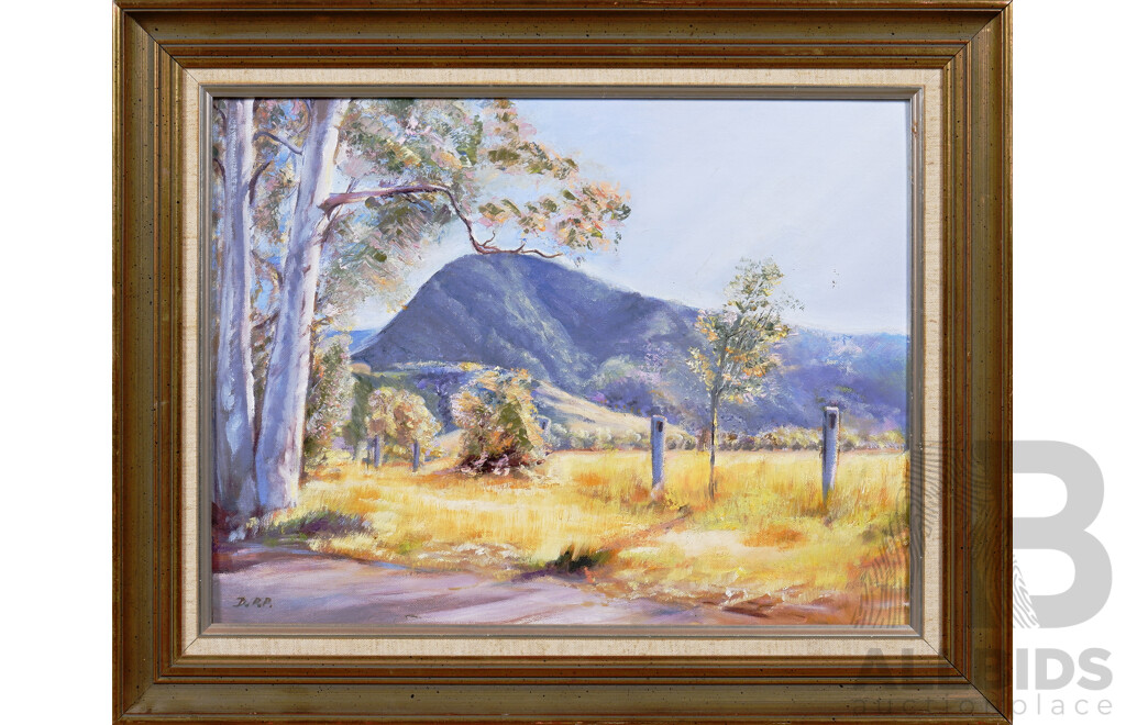 Two Australian Landscape Oil on Canvas Paintings, One Signed 'D.R.P', largest 39 x 49 cm