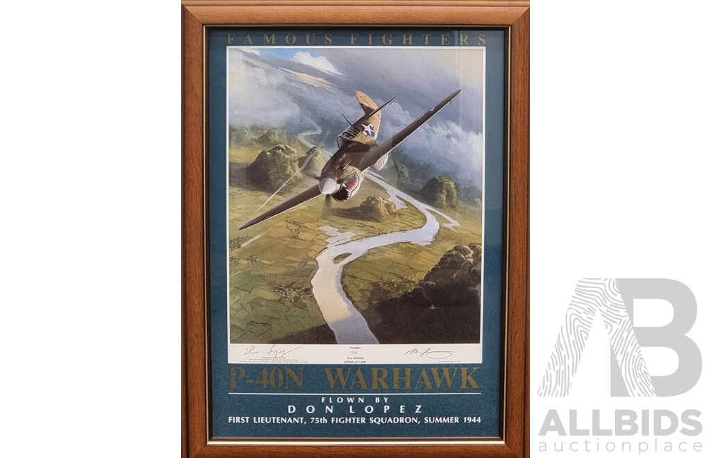 Set of Five Framed Limited Edition Prints - Famous Fighters - Warplanes of WWII - Signed by Pilots and Artist