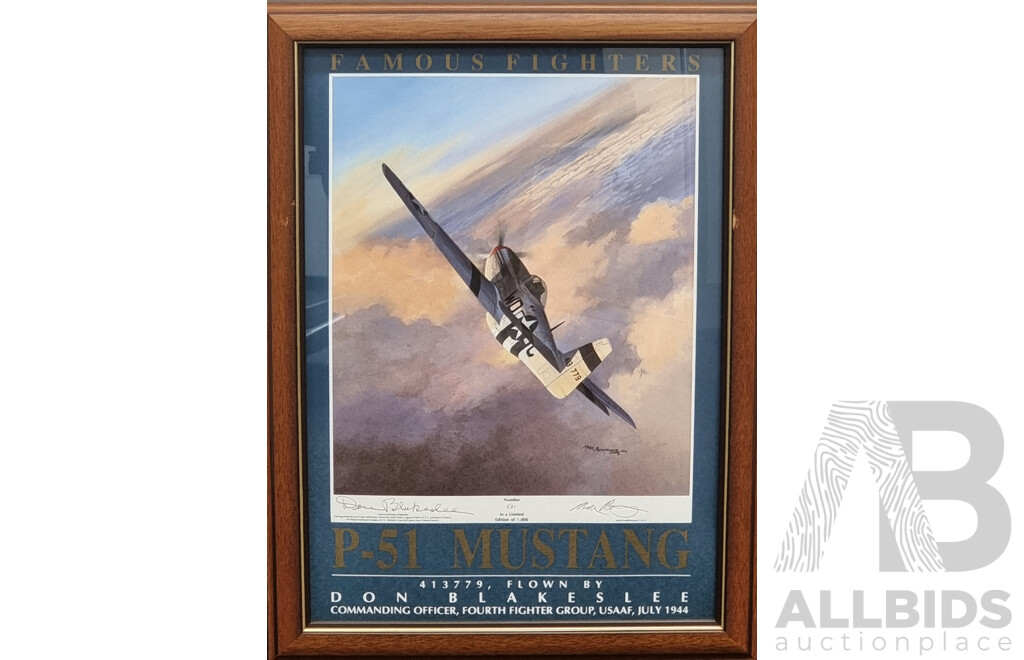 Set of Five Framed Limited Edition Prints - Famous Fighters - Warplanes of WWII - Signed by Pilots and Artist