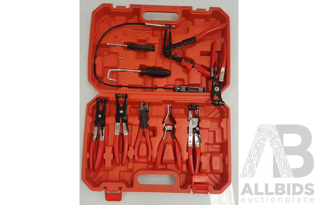 Bosch AdvancedGrind 18 and Sedy 9pc Hose Clamp Pliers Kit Clip - Lot of 2 - Total ORP $248.99