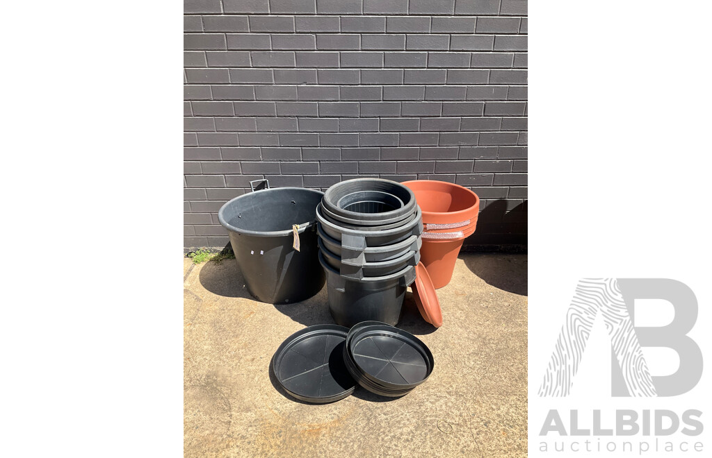 Collection Approx 15 Plastic Plower Pots of Varying Sizes With Some Matching Saucers