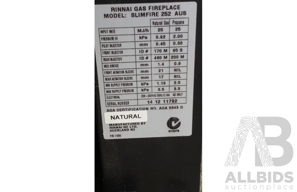 Rinnai Slimfire 252 Flame Effect Gas Fireplace