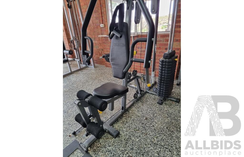 Celsius gs2 best sale home gym manual