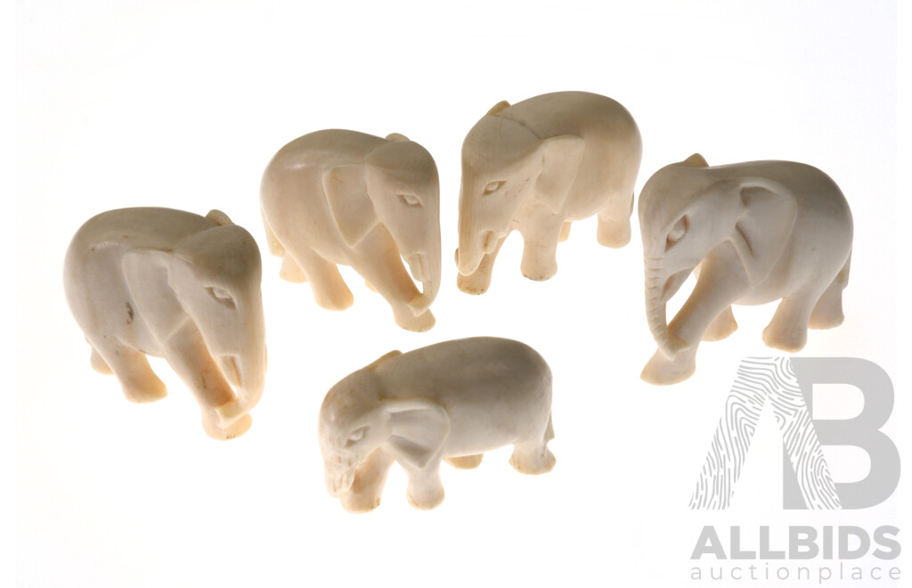 Five Carved Ivory Elephants, (5)