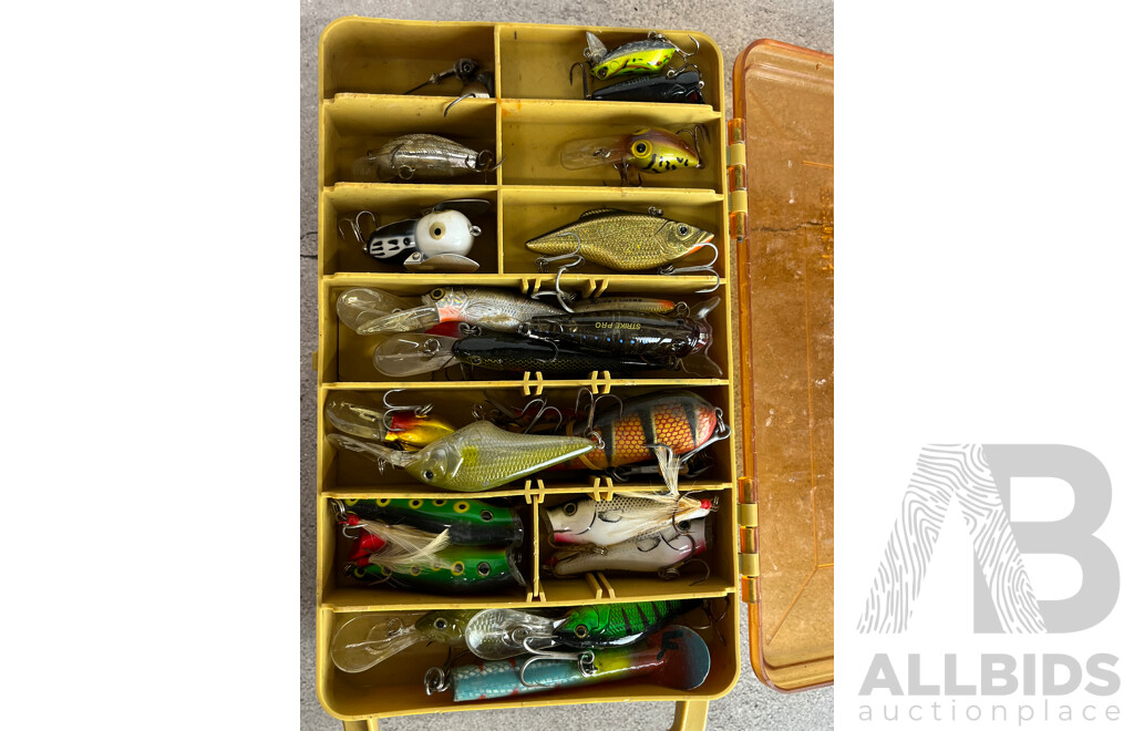 Collection of Vintage Flys in Double Sided Tackle Box