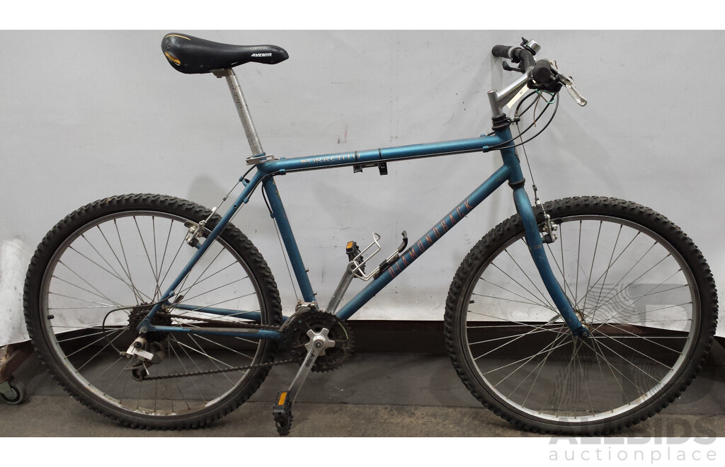 Diamondback Sorrento 19 Inch Mountain Bike