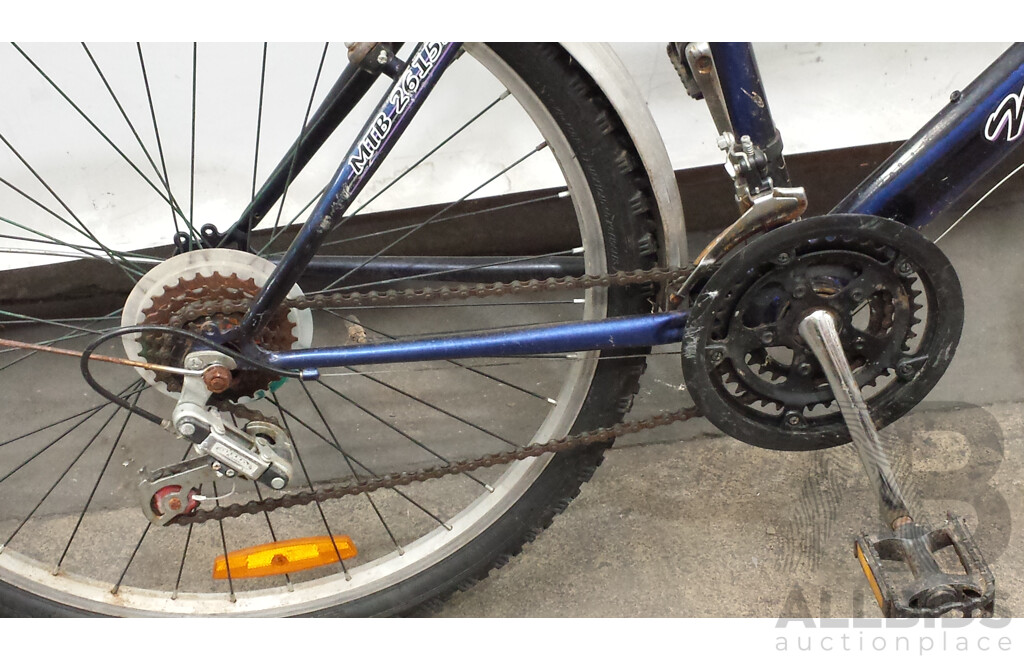Northern Star 20 Inch Mountain Bike