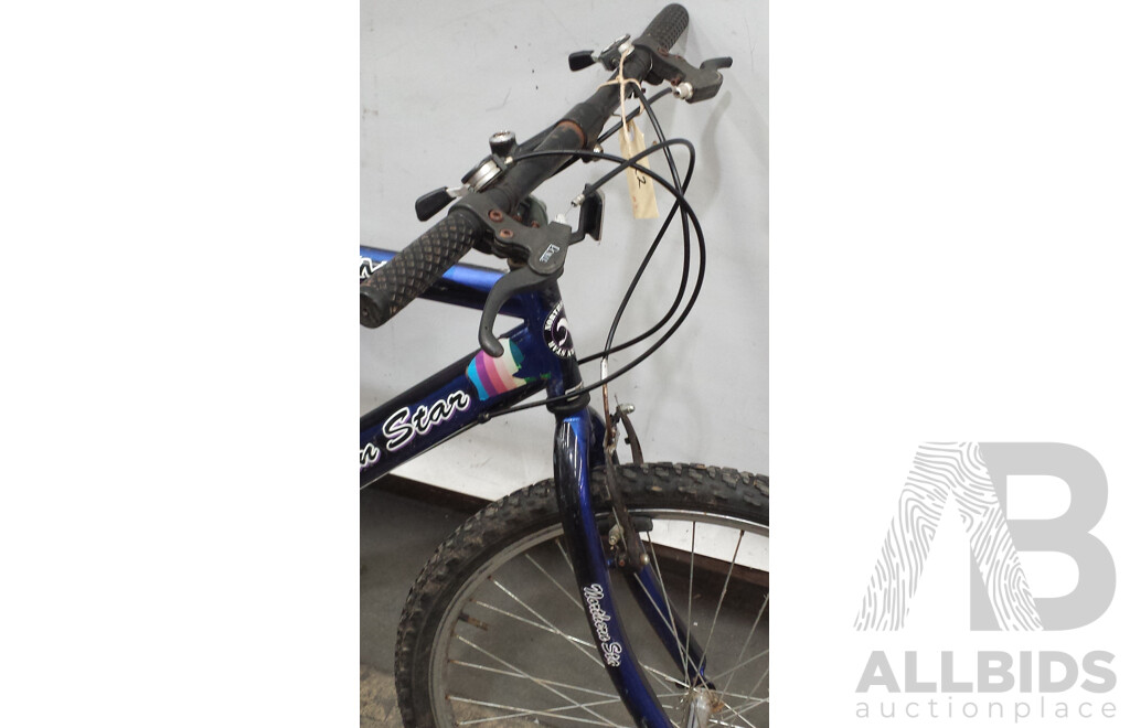 Northern Star 20 Inch Mountain Bike
