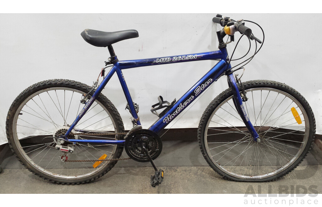 Northern Star 20 Inch Mountain Bike