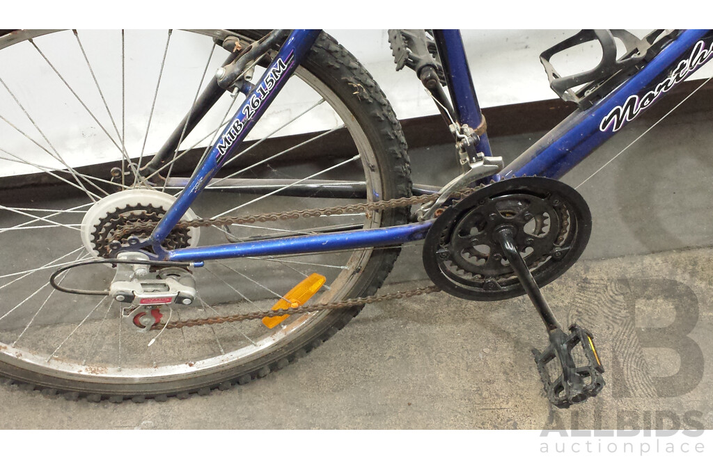 Northern Star 20 Inch Mountain Bike