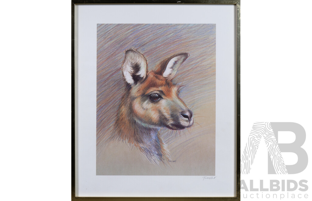 Trish Hart, Kangaroo, Framed Print, 63 x 53 cm (frame)