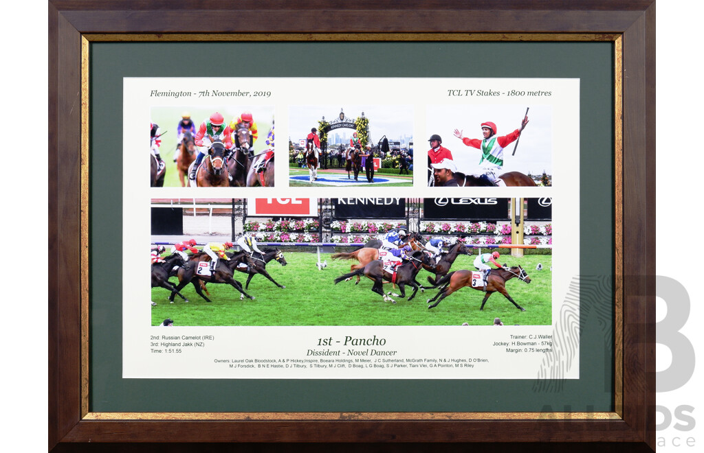 Thoroughbred Racing First Past the Post - Pancho - Quantity of 2