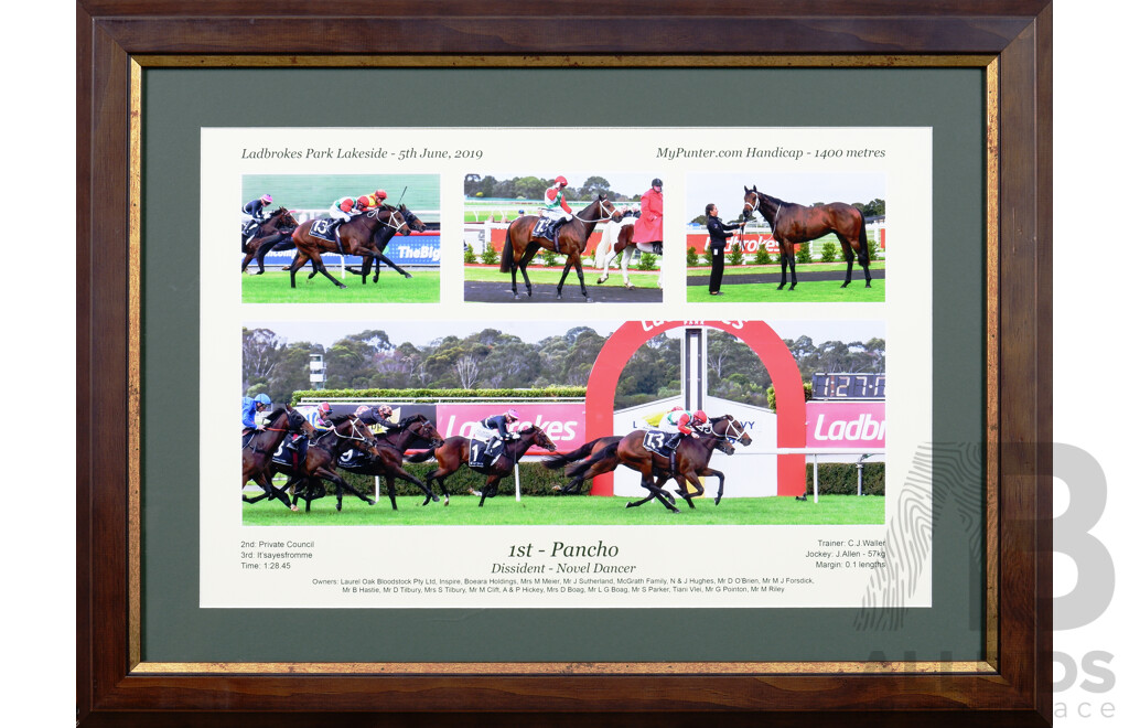 Thoroughbred Racing First Past the Post - Pancho - Quantity of 2