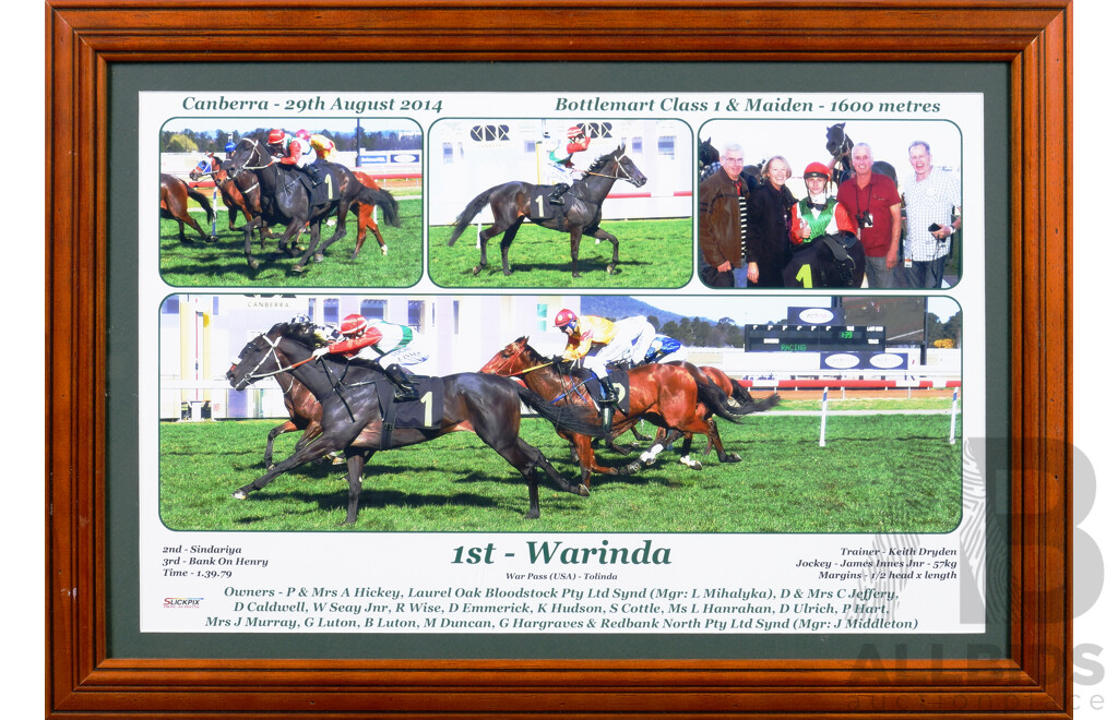 Thoroughbred Racing First Past the Post - Warinda - Quantity of 3