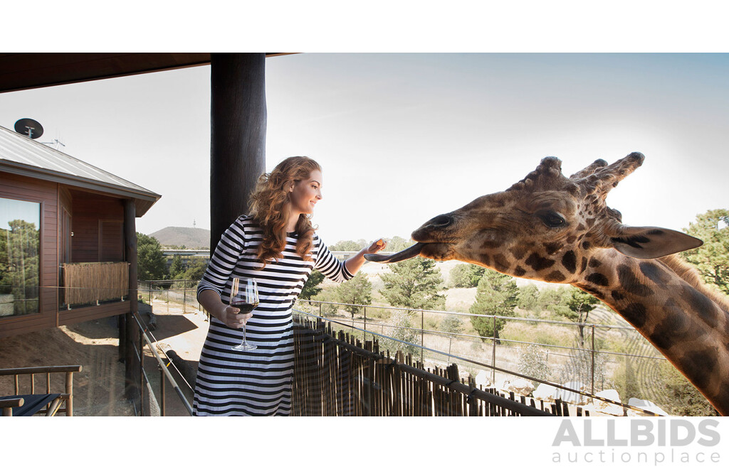 LIVE AUCTION ITEM # 4 - A Night in the Giraffe Treehouse at Jamala Wildlife Lodge - Valued at $2200