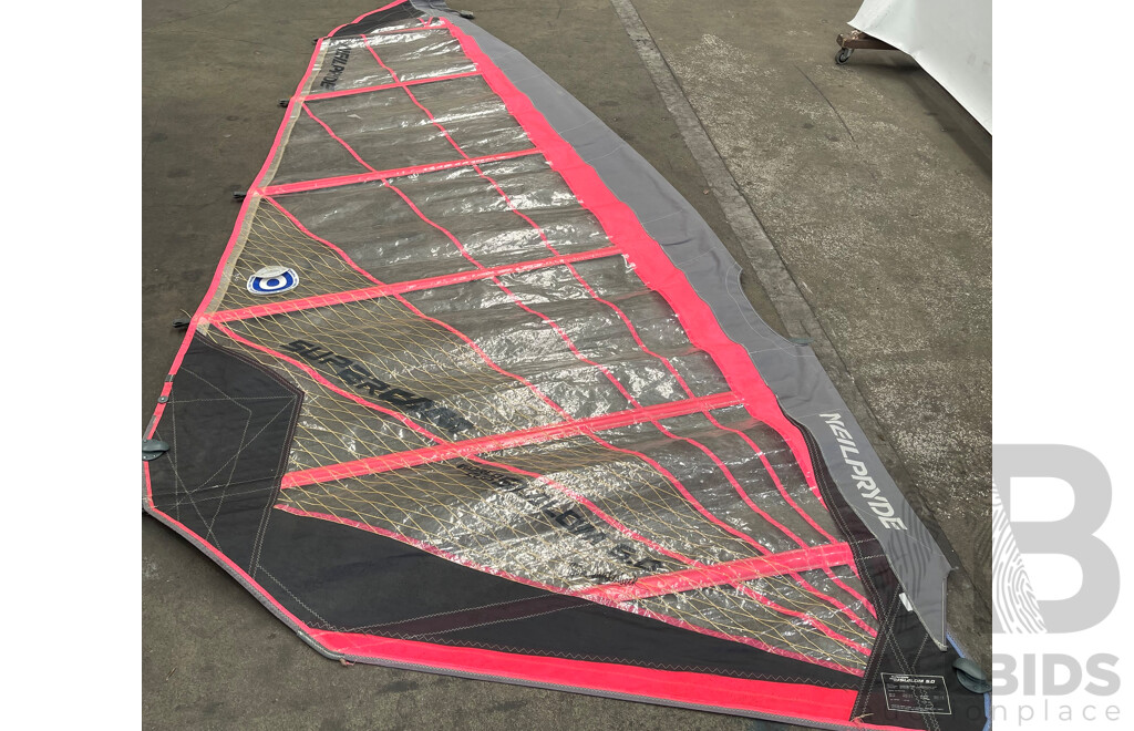 Bic Electric Rock Windsurfer