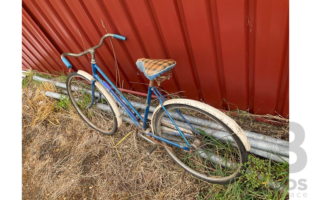 Vintage Malvern Star Woman's Bike with Correct Pump and Plaid Seat