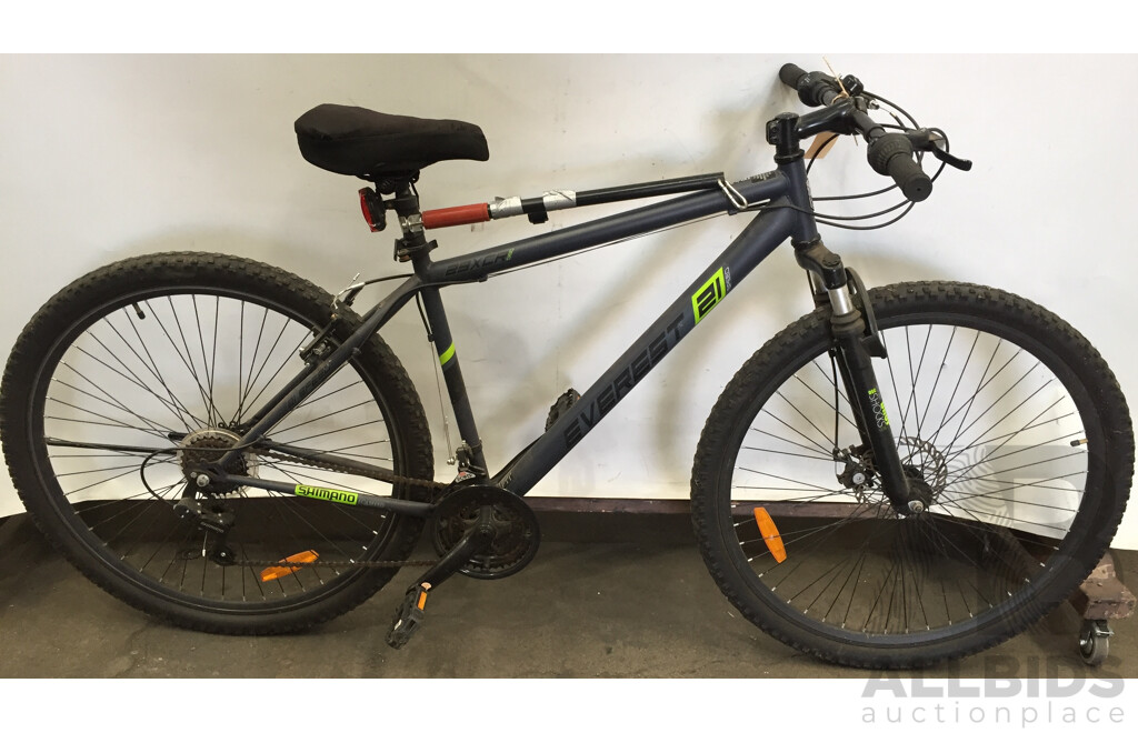 Everest 29 2025 xcr mountain bike