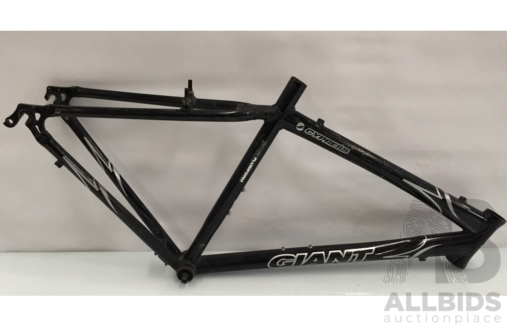 Giant Cypress 6061 Fluidform Bicycle Frame