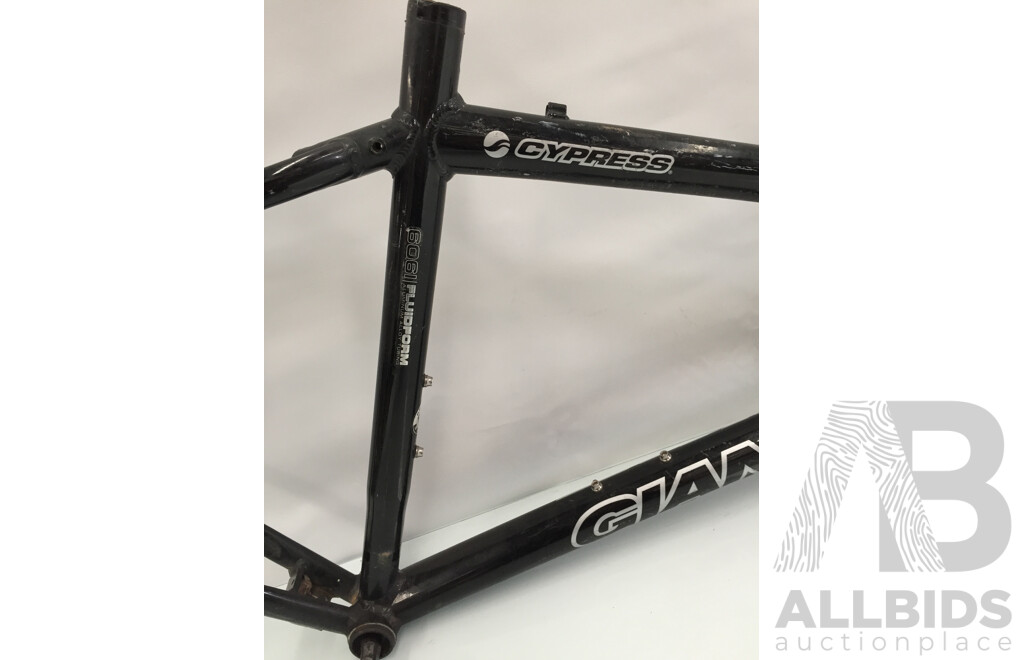 Giant Cypress 6061 Fluidform Bicycle Frame