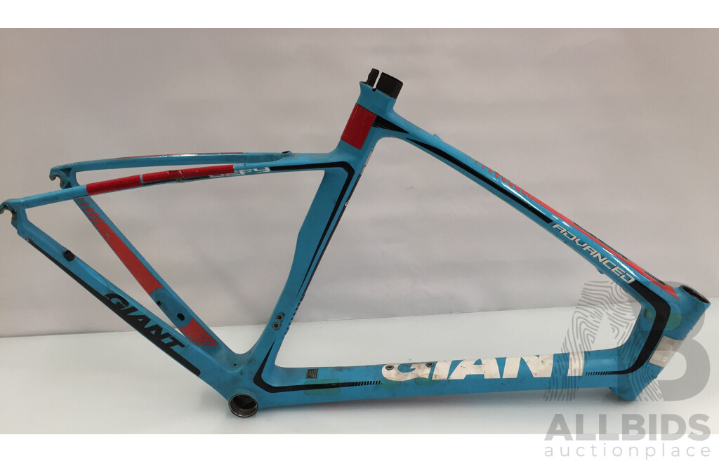 Giant Defy en-14781 Bicycle Frame