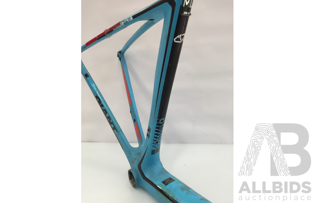 Giant Defy en-14781 Bicycle Frame