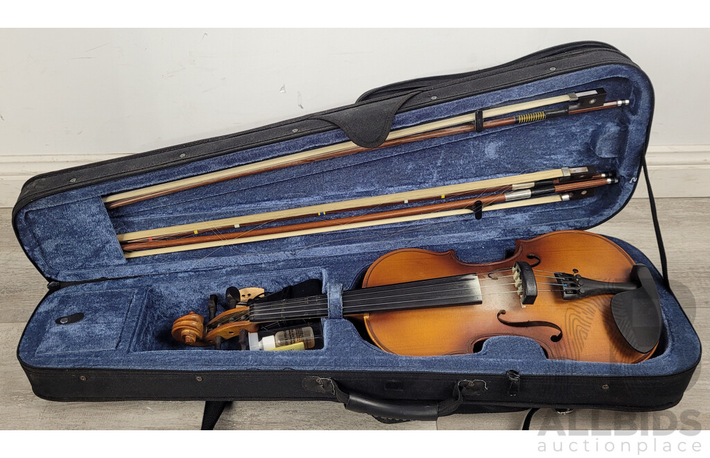 Cecilio Violin with Case and Three Bows