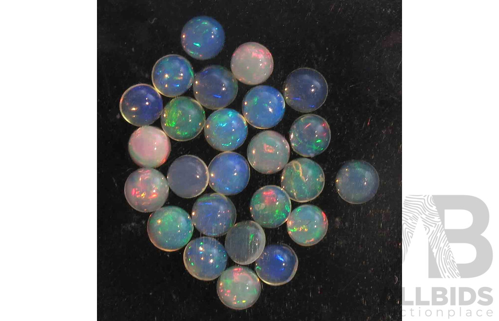 OPALS: Collection of Solid Opals in Gem Case