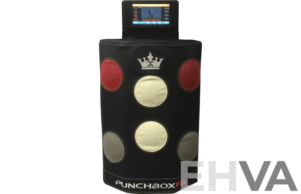 PUNCH BOX FIT Smart Wall Punching Boxing Bag