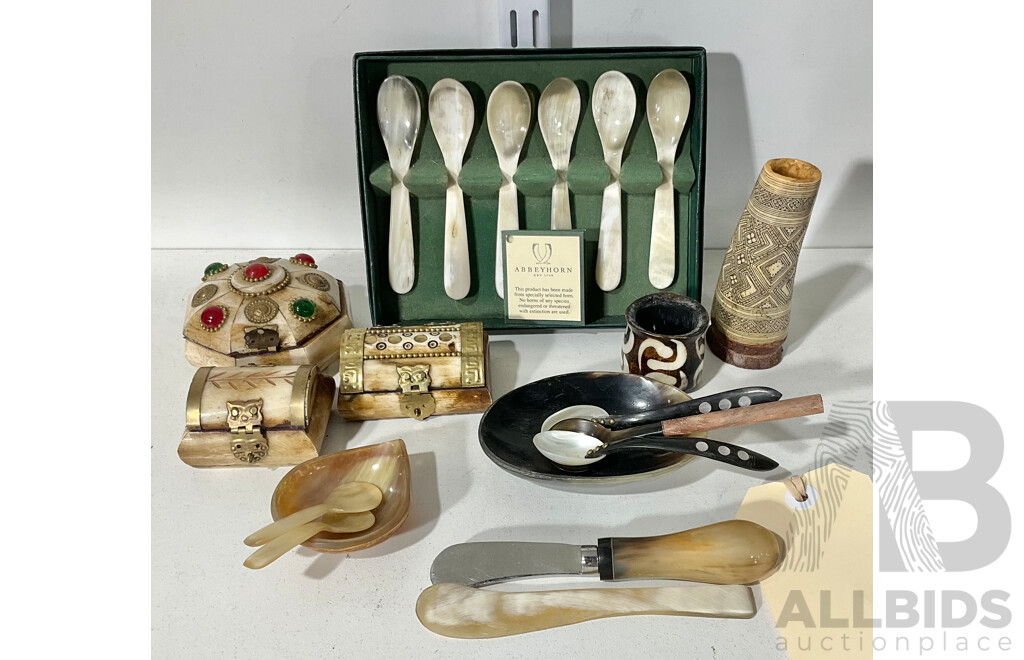 Good Collection Hand Carved and Decorated Asian & Other Bone & Horn Items Including Set Six Abbey Horn Spoons in Original Box and More