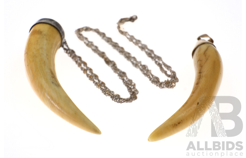 Antique Ivory Horn Shaped Pendant with 14ct G0ld Mount Along with Another Ivory Pendant with Sterling Silver Chain