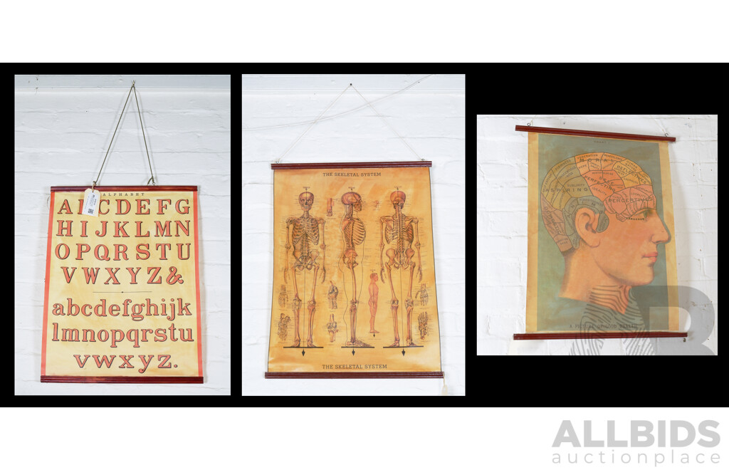 Three Reproduction Paper Classroom Charts - The Alphabet; Skeletal System; A Picture of Good Health (3)