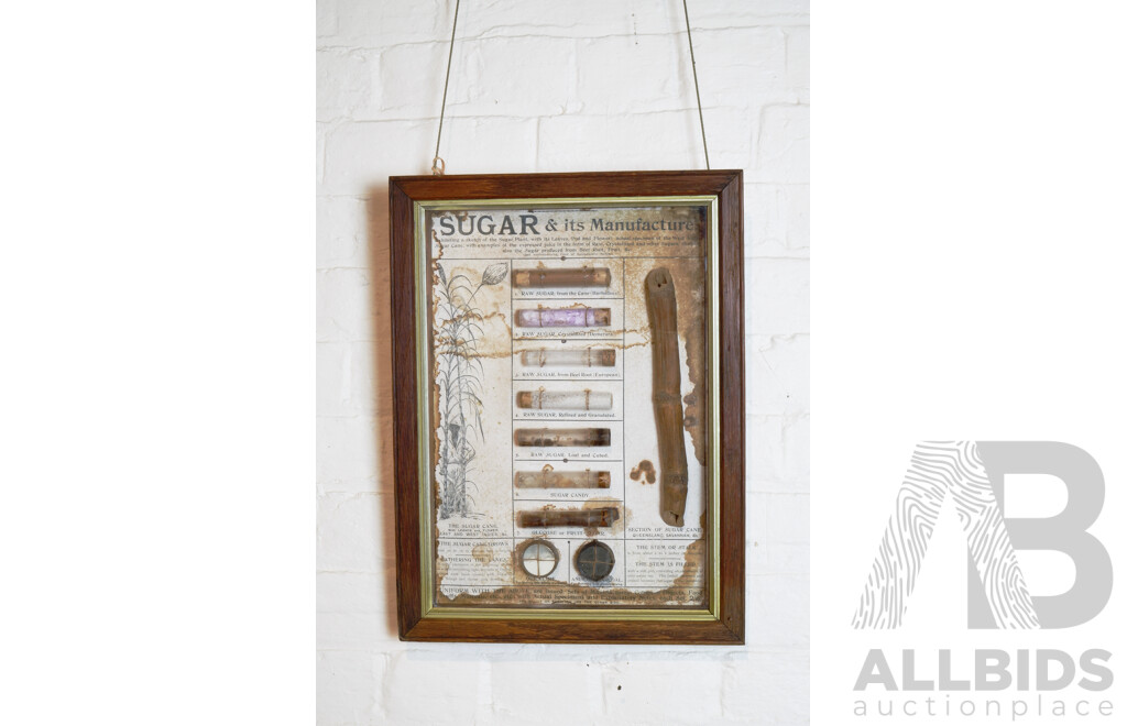 Framed Display, 'Sugar & It's Manufacture', Description including Piece of Cane and Vials of Sugar 