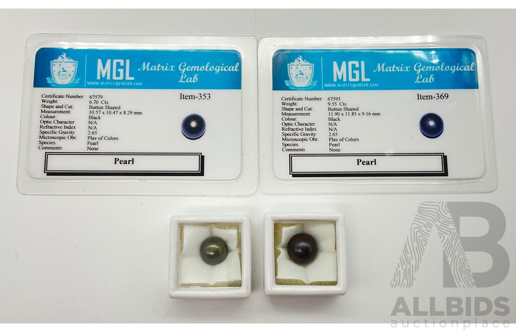 Two Button Shaped Black Pearls 9.55 Cts and 6.70cts