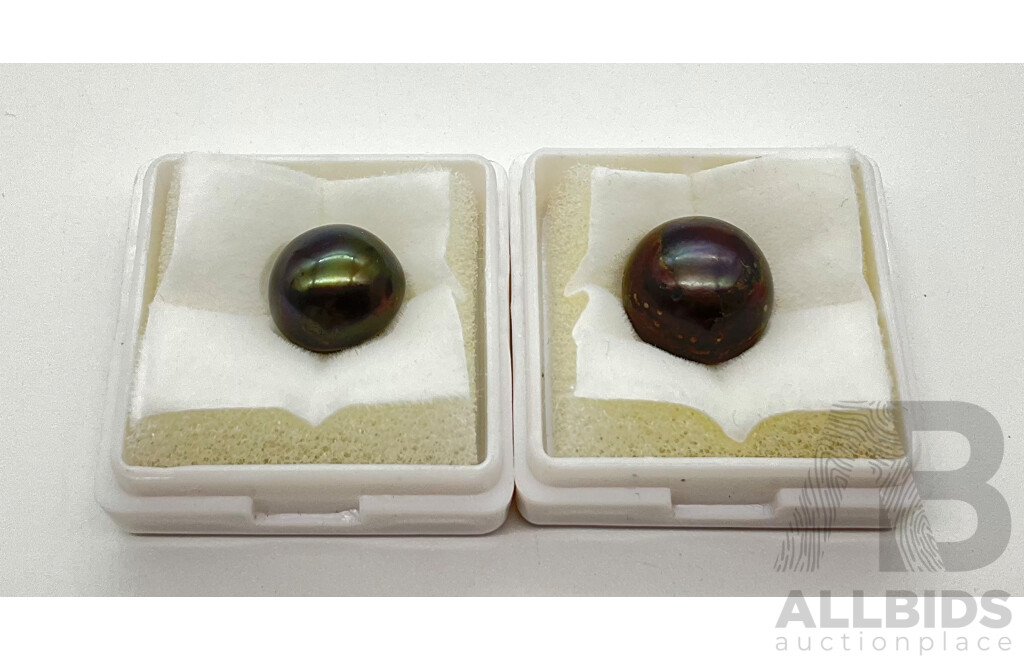 Two Button Shaped Black Pearls 9.55 Cts and 6.70cts